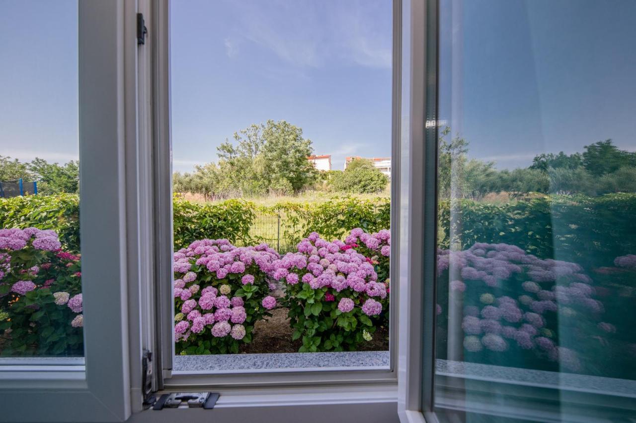Zeljko Apartment Lopar
